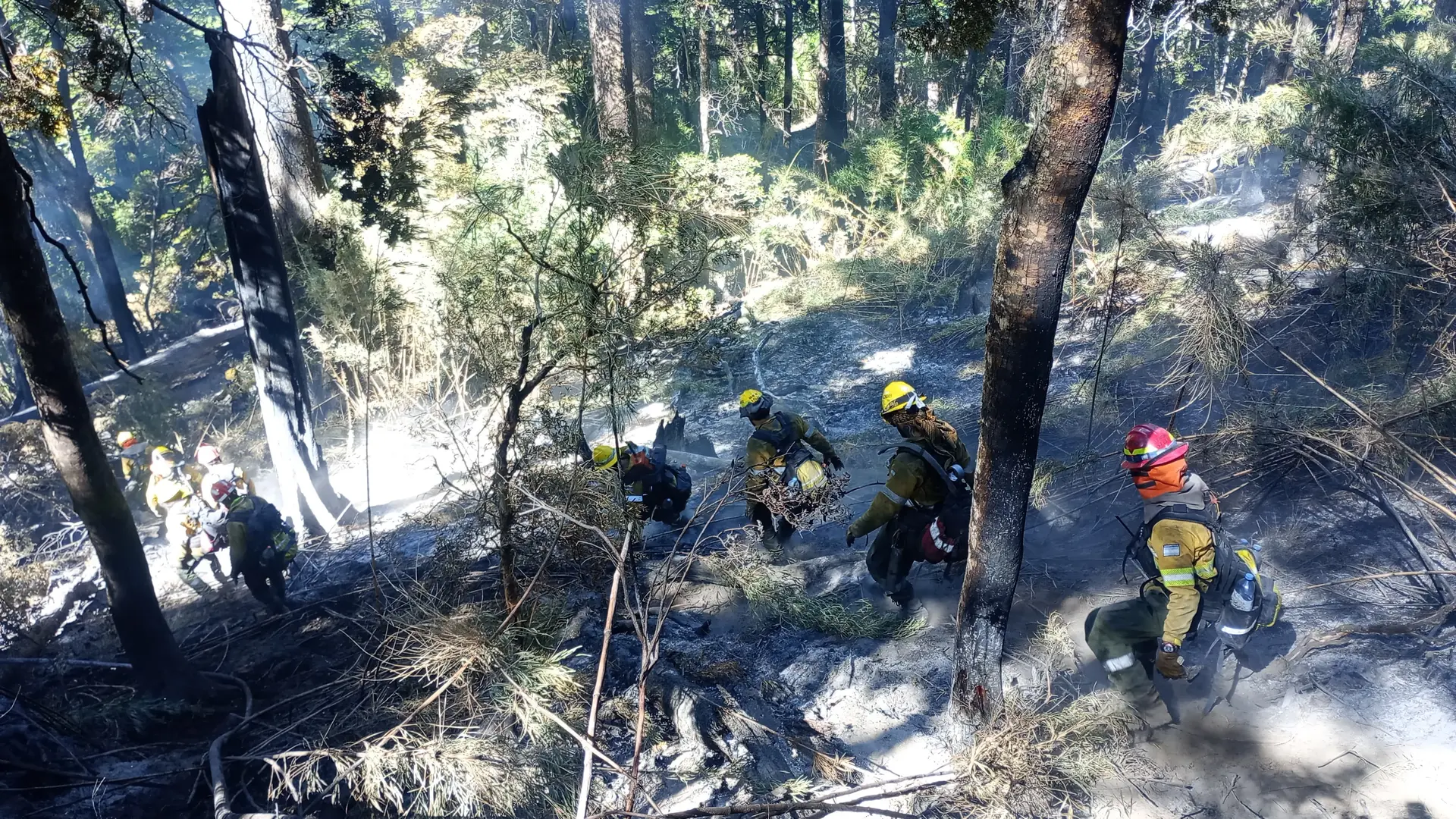 Incendio en Los Manzanos: un trabajo constante en condiciones adversas