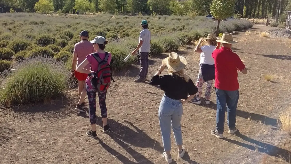 Estas fiestas de fin de año vacacioná seguro en Río Negro